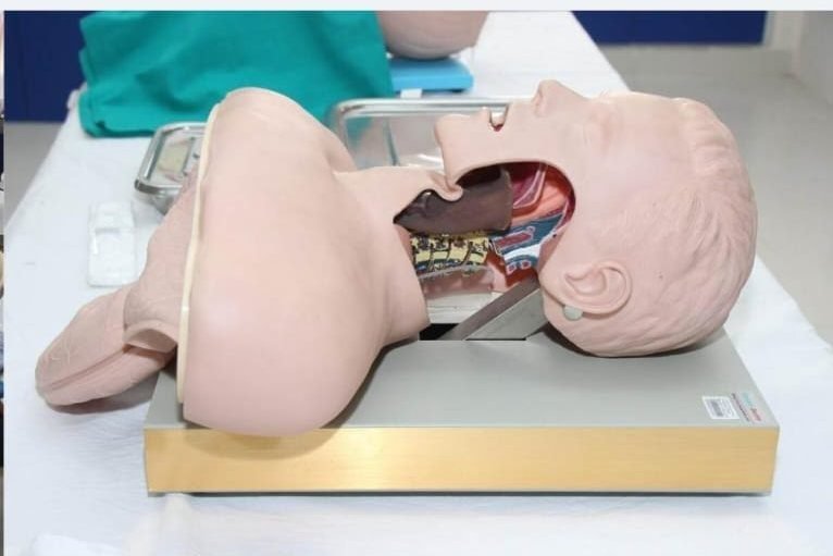 Airway management trainer